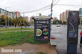Коллонтай ул. / Бадаева ул.