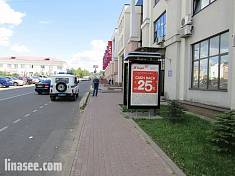 г. Дмитров, МО, Загорская улица, около д.24 (отдела УФМС) (внутренняя сторона)